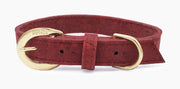 Shop our vegan leather red cork pet collar, a cruelty-free and sustainable pet accessory for your beloved pet. Made from eco-friendly materials, this dog and cat collar combines style and ethics, perfect for conscious pet owners. Cruelty-free, luxury dog collar, unique pet collar, boho chic pet accessories, premium collars, organic look, ethically made, handmade in the USA, LGBTQIA woman-owned, for the fashion dog. #color_gold-color
