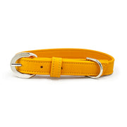 Sunflower yellow orange luxury vegan cactus leather collar and leash. Paired with our crystal charm jewelry for both people and pets. Designed for both dogs and cats and made in Los Angeles, CA. Our accessories are sustainable and we are women-owned. #color_silver-color