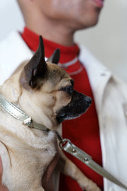 Champagne Gold Cactus Collar