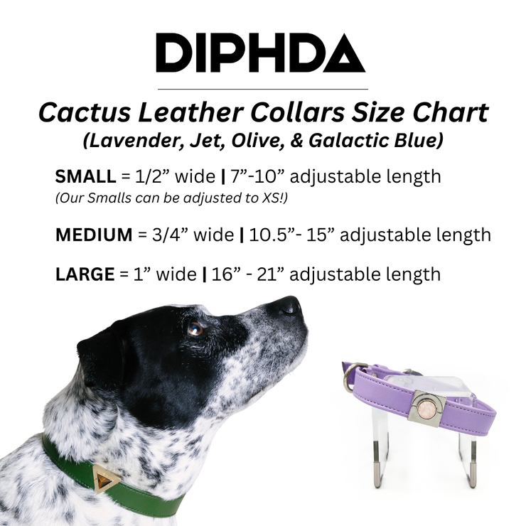 Lavender Cactus Collar