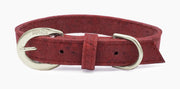 Shop our vegan leather red cork pet collar, a cruelty-free and sustainable pet accessory for your beloved pet. Made from eco-friendly materials, this dog and cat collar combines style and ethics, perfect for conscious pet owners. Cruelty-free, luxury dog collar, unique pet collar, boho chic pet accessories, premium collars, organic look, ethically made, handmade in the USA, LGBTQIA woman-owned, for the fashion dog. #color_silver-color