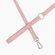 Shop our vegan leather pink cork pet leash, a cruelty-free and sustainable pet accessory for your beloved pet. Made from eco-friendly materials, this dog and cat leash combines style and ethics, perfect for conscious pet owners. Cruelty-free, luxury dog leash, unique pet leash, boho chic pet accessories, premium leashes, organic look, ethically made, handmade in the USA, LGBTQIA woman-owned, for the fashion dog. #color_silver-color