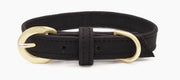 Shop our vegan leather black cork pet collar, a cruelty-free and sustainable pet accessory for your beloved pet. Made from eco-friendly materials, this dog and cat collar combines style and ethics, perfect for conscious pet owners. Cruelty-free, luxury dog collar, unique pet collar, boho chic pet accessories, premium collars, organic look, ethically made, handmade in the USA, LGBTQIA woman-owned, for the fashion dog. #color_gold-color