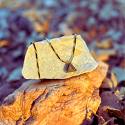 The Mini Prism Necklace in Gold