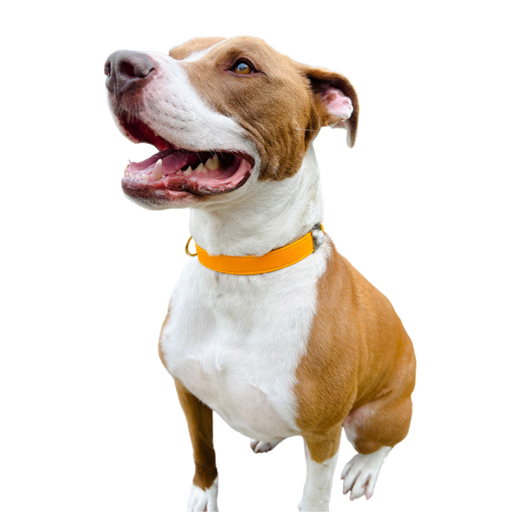 SUNFLOWER YELLOW CACTUS LEATHER COLLAR - Main Image