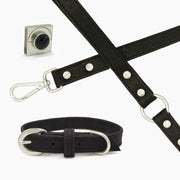 Shop our vegan leather black cork pet leash, a cruelty-free and sustainable pet accessory for your beloved pet. Made from eco-friendly materials, this dog and cat leash combines style and ethics, perfect for conscious pet owners. Cruelty-free, luxury dog leash, unique pet leash, boho chic pet accessories, premium leashes, organic look, ethically made, handmade in the USA, LGBTQIA woman-owned, for the fashion dog. #color_silver-color