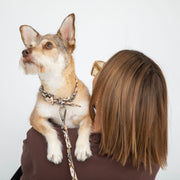 Shop our vegan leather southwestern cork pet collar, a cruelty-free and sustainable pet accessory for your beloved pet. Made from eco-friendly materials, this dog and cat collar combines style and ethics, perfect for conscious pet owners. Cruelty-free, luxury dog collar, unique pet collar, boho chic pet accessories, premium collars, organic look, ethically made, handmade in the USA, LGBTQIA woman-owned, for the fashion dog. 