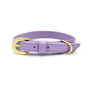 luxury vegan cactus leather collar and leash. Paired with our crystal charm jewelry for both people and pets. Designed for both dogs and cats and made in Los Angeles, CA. Our accessories are sustainable and we are women-owned. #color_gold-color