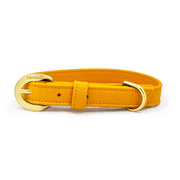 Sunflower yellow orange luxury vegan cactus leather collar and leash. Paired with our crystal charm jewelry for both people and pets. Designed for both dogs and cats and made in Los Angeles, CA. Our accessories are sustainable and we are women-owned. #color_gold-color