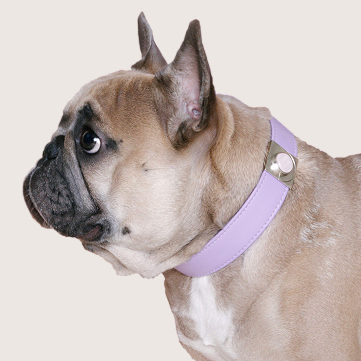 Purple lavender luxury vegan cactus leather collar and leash. Paired with our crystal charm jewelry for both people and pets. Designed for both dogs and cats and made in Los Angeles, CA. Our accessories are sustainable and we are women-owned.